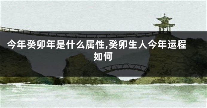 今年癸卯年是什么属性,癸卯生人今年运程如何