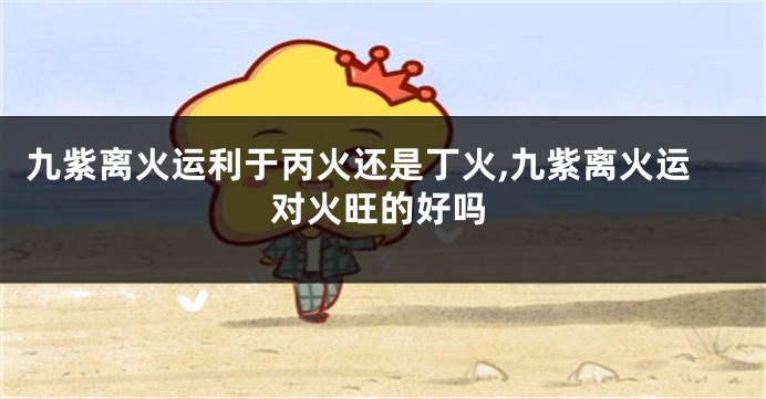 九紫离火运利于丙火还是丁火,九紫离火运对火旺的好吗