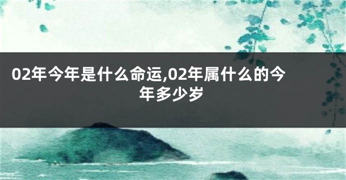 02年今年是什么命运,02年属什么的今年多少岁