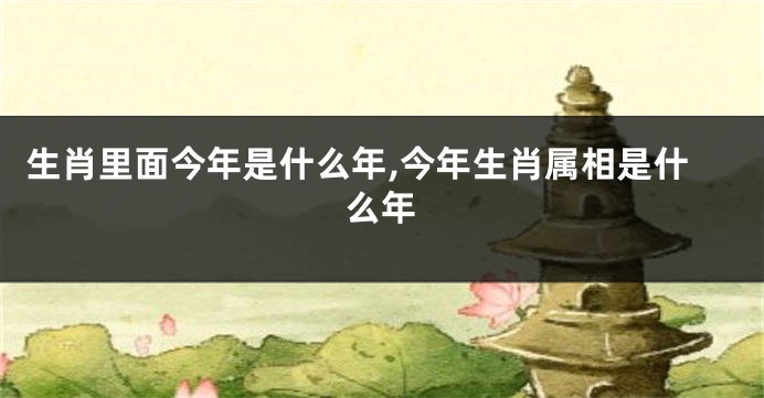 生肖里面今年是什么年,今年生肖属相是什么年