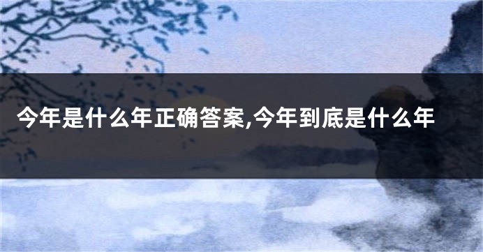 今年是什么年正确答案,今年到底是什么年