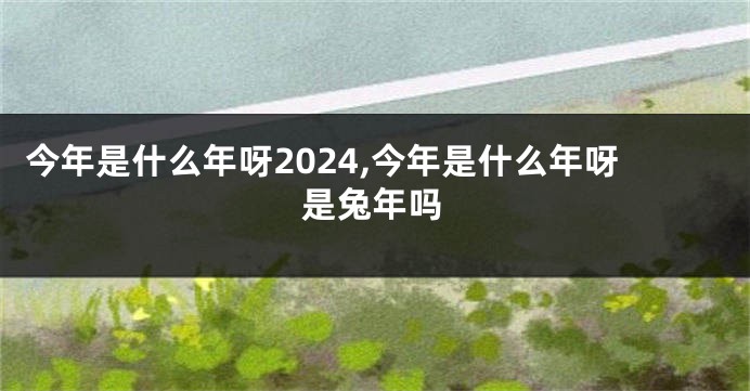 今年是什么年呀2024,今年是什么年呀是兔年吗