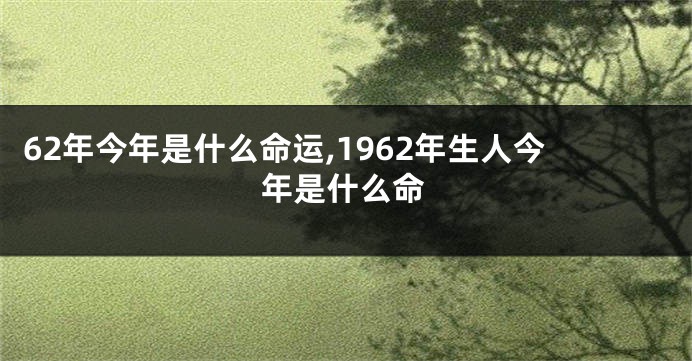 62年今年是什么命运,1962年生人今年是什么命