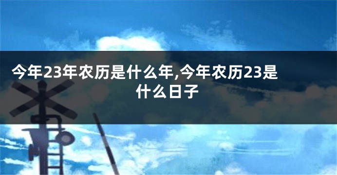 今年23年农历是什么年,今年农历23是什么日子