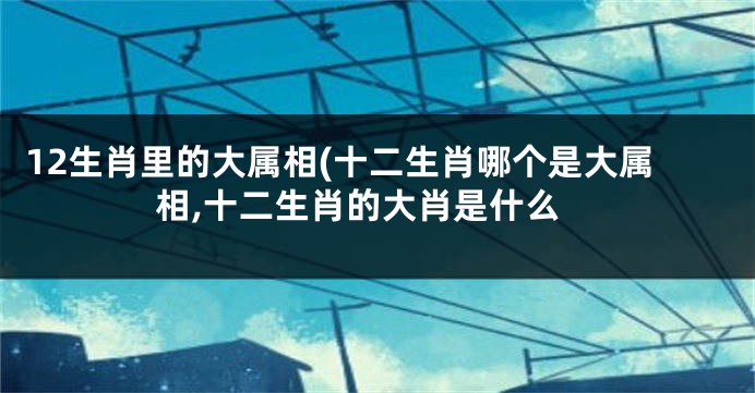 12生肖里的大属相(十二生肖哪个是大属相,十二生肖的大肖是什么