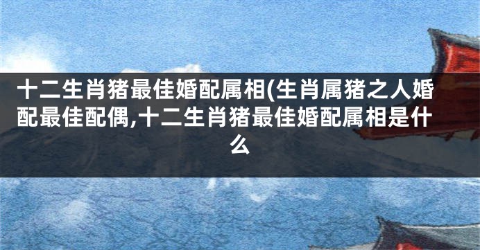 十二生肖猪最佳婚配属相(生肖属猪之人婚配最佳配偶,十二生肖猪最佳婚配属相是什么