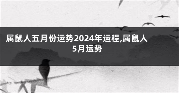 属鼠人五月份运势2024年运程,属鼠人5月运势