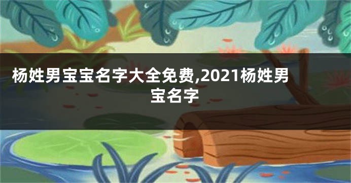 杨姓男宝宝名字大全免费,2021杨姓男宝名字