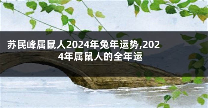 苏民峰属鼠人2024年兔年运势,2024年属鼠人的全年运