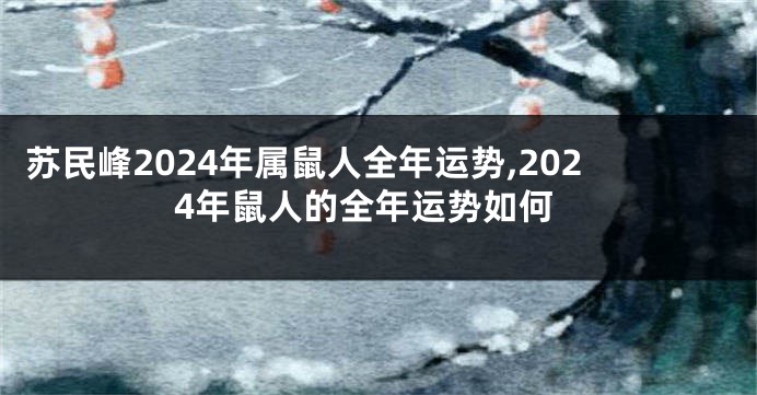 苏民峰2024年属鼠人全年运势,2024年鼠人的全年运势如何