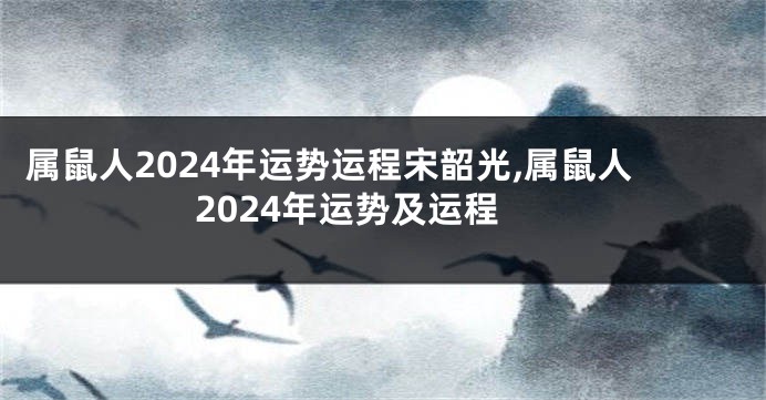 属鼠人2024年运势运程宋韶光,属鼠人2024年运势及运程