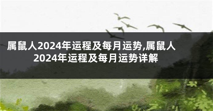 属鼠人2024年运程及每月运势,属鼠人2024年运程及每月运势详解