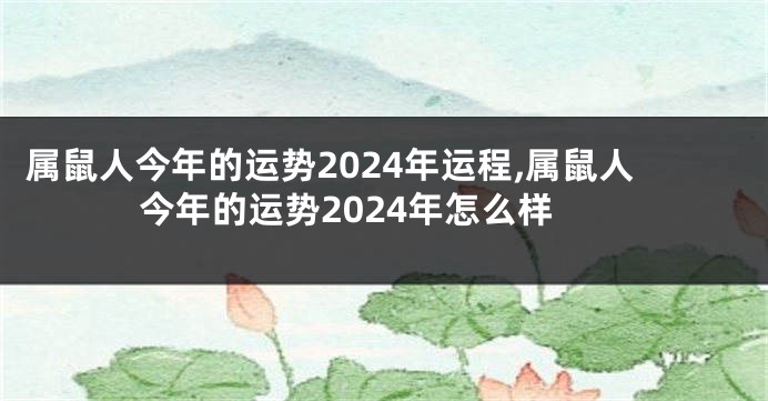 属鼠人今年的运势2024年运程,属鼠人今年的运势2024年怎么样