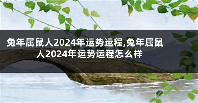 兔年属鼠人2024年运势运程,兔年属鼠人2024年运势运程怎么样