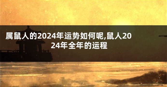 属鼠人的2024年运势如何呢,鼠人2024年全年的运程