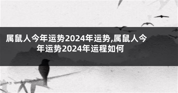 属鼠人今年运势2024年运势,属鼠人今年运势2024年运程如何