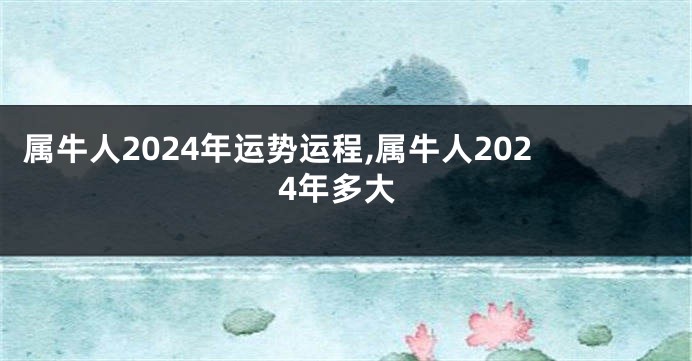 属牛人2024年运势运程,属牛人2024年多大