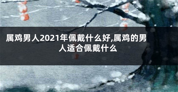 属鸡男人2021年佩戴什么好,属鸡的男人适合佩戴什么