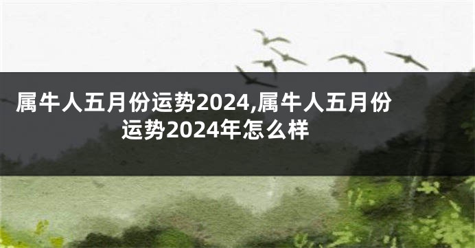 属牛人五月份运势2024,属牛人五月份运势2024年怎么样