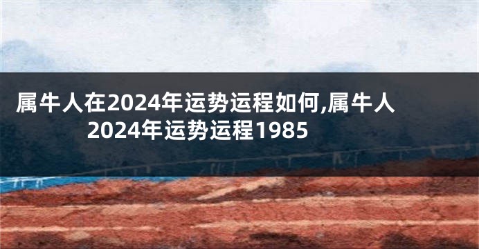 属牛人在2024年运势运程如何,属牛人2024年运势运程1985