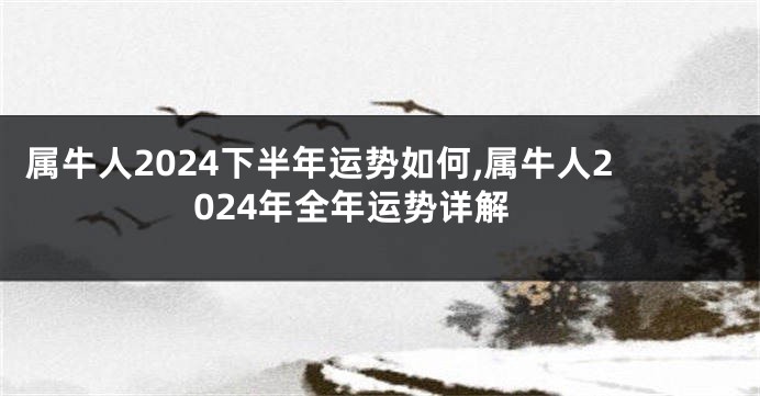 属牛人2024下半年运势如何,属牛人2024年全年运势详解