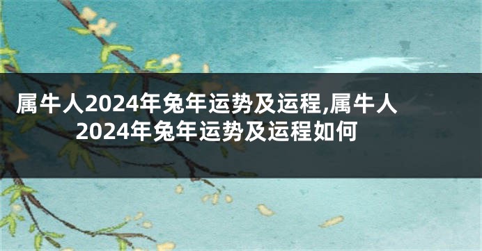 属牛人2024年兔年运势及运程,属牛人2024年兔年运势及运程如何