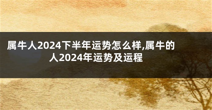 属牛人2024下半年运势怎么样,属牛的人2024年运势及运程