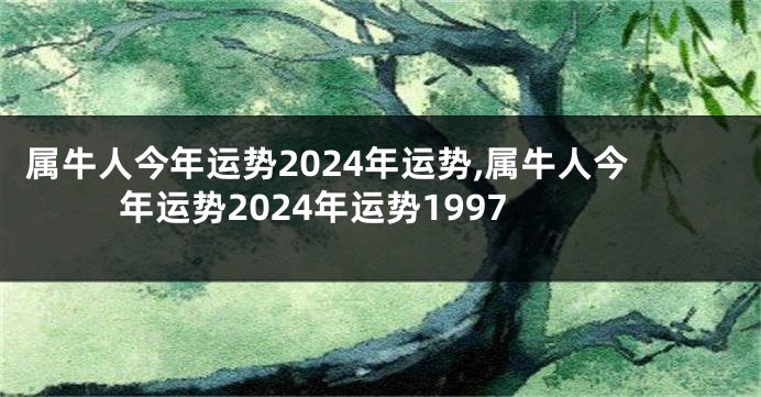 属牛人今年运势2024年运势,属牛人今年运势2024年运势1997