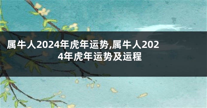 属牛人2024年虎年运势,属牛人2024年虎年运势及运程