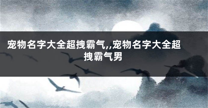 宠物名字大全超拽霸气,,宠物名字大全超拽霸气男