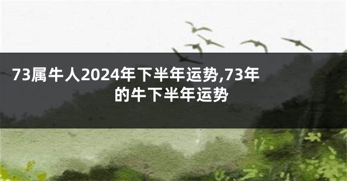 73属牛人2024年下半年运势,73年的牛下半年运势