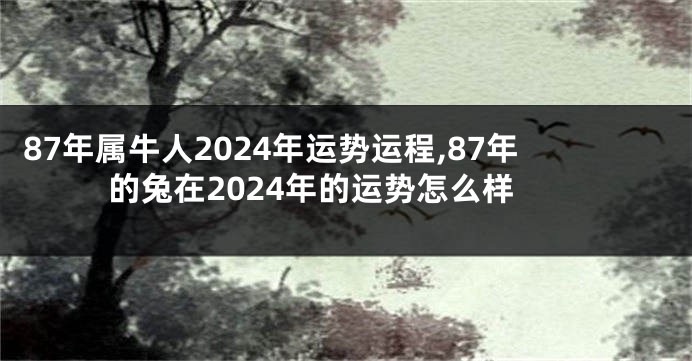 87年属牛人2024年运势运程,87年的兔在2024年的运势怎么样