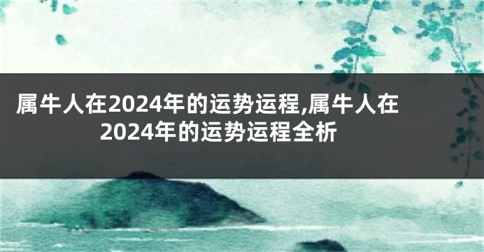 属牛人在2024年的运势运程,属牛人在2024年的运势运程全析