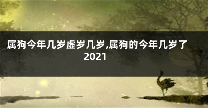 属狗今年几岁虚岁几岁,属狗的今年几岁了2021