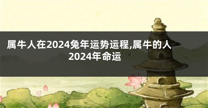 属牛人在2024兔年运势运程,属牛的人2024年命运