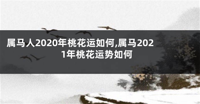 属马人2020年桃花运如何,属马2021年桃花运势如何