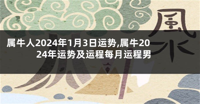 属牛人2024年1月3日运势,属牛2024年运势及运程每月运程男