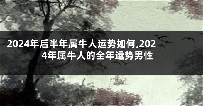 2024年后半年属牛人运势如何,2024年属牛人的全年运势男性