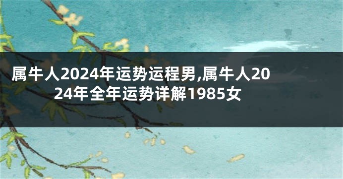 属牛人2024年运势运程男,属牛人2024年全年运势详解1985女