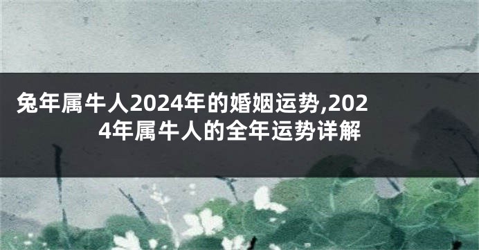 兔年属牛人2024年的婚姻运势,2024年属牛人的全年运势详解