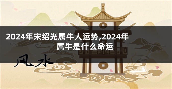 2024年宋绍光属牛人运势,2024年属牛是什么命运