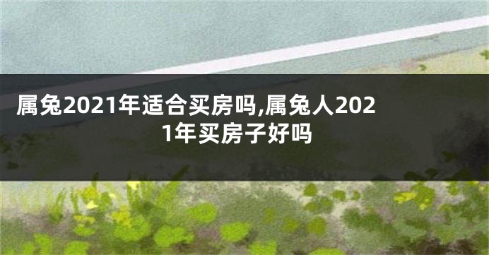 属兔2021年适合买房吗,属兔人2021年买房子好吗