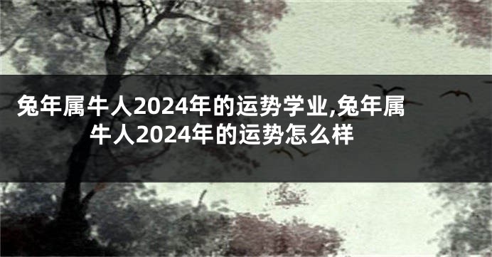 兔年属牛人2024年的运势学业,兔年属牛人2024年的运势怎么样