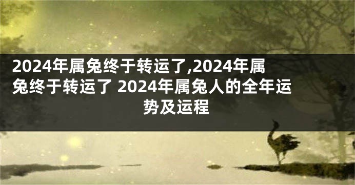 2024年属兔终于转运了,2024年属兔终于转运了 2024年属兔人的全年运势及运程