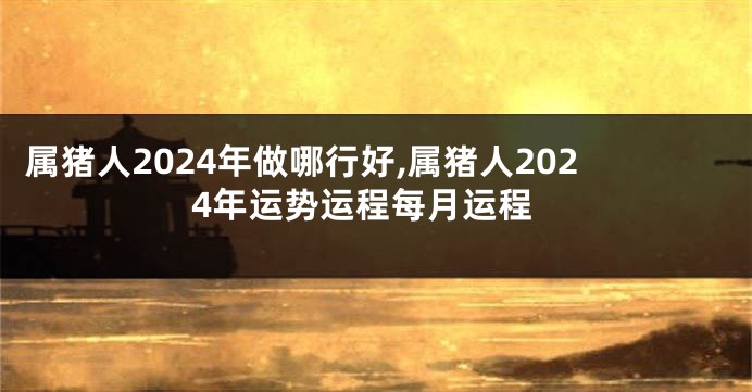 属猪人2024年做哪行好,属猪人2024年运势运程每月运程