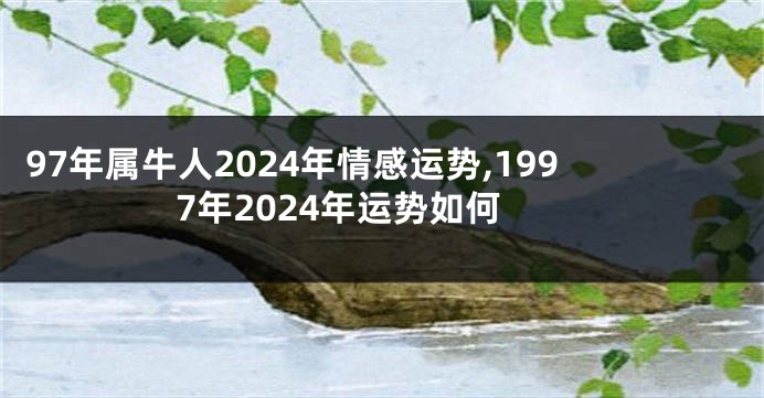 97年属牛人2024年情感运势,1997年2024年运势如何