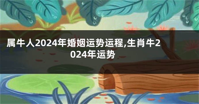 属牛人2024年婚姻运势运程,生肖牛2024年运势