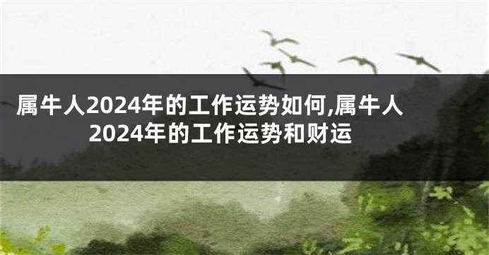 属牛人2024年的工作运势如何,属牛人2024年的工作运势和财运