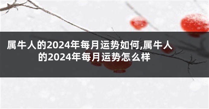 属牛人的2024年每月运势如何,属牛人的2024年每月运势怎么样