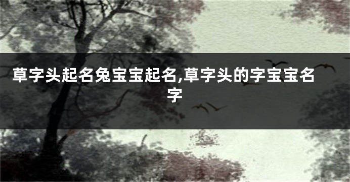 草字头起名兔宝宝起名,草字头的字宝宝名字